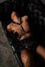 HOLD ME